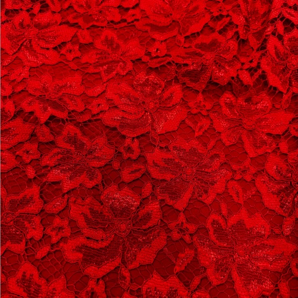 Red Lace Dress - Picture 2 of 4